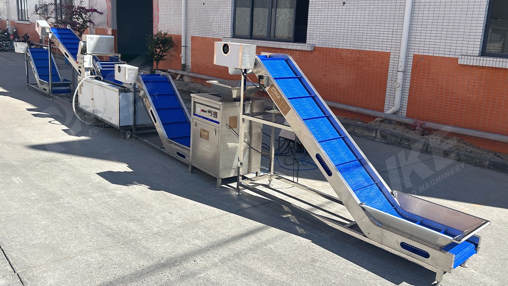 完整的洋蔥加工線：去皮、清洗、切片等一站式解決方案