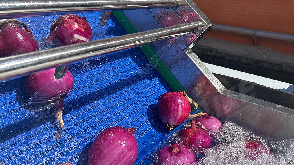 完整的洋蔥加工線：去皮、清洗、切片等一站式解決方案