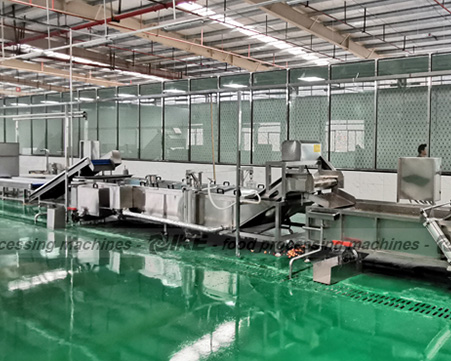 Do you need any other machinery (Washing, Peeling, Cutting, Drying, Packing Machinery)?