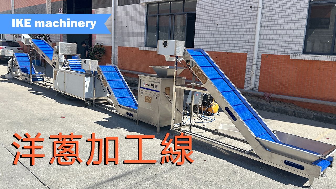 完整的洋蔥加工線：去皮、清洗、切片等一站式解決方案