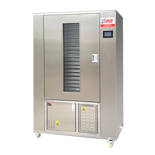 WRH-100GN 水果蔬菜肉類食品烘乾機